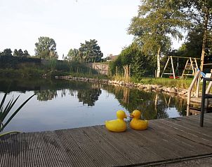 Terras bij Vakantiehuisje in Haulerwijk met uitzicht op vijver, gelegen in de Friese bossen van Friesland.