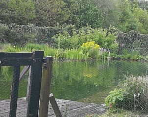 Verblijf 231407 - Vakantiewoning Friese bossen - Vakantiehuisje in Haulerwijk