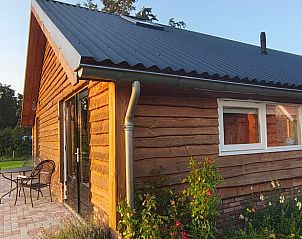 Guest house 231408 - Holiday property Friese bossen - Vakantiehuis in Haulerwijk