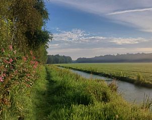 Landschap rondom Vakantiehuis in Haulerwijk, met weelderige groene velden in Friesland.