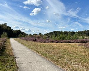 Fietspad in de buurt van Vakantiehuis in Haulerwijk, ideaal voor verkenning van Friesland.