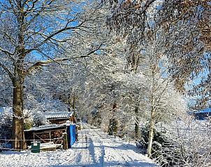 Besneeuwde bomen bij Vakantiehuis in Haulerwijk, een idyllisch winterlandschap in Friesland.