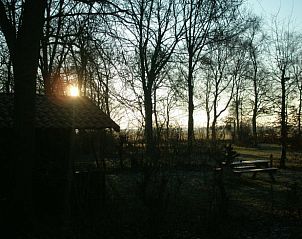 Zonsondergang in de Friese bossen bij Vakantiehuisje in Boijl, een serene vakantiebestemming.