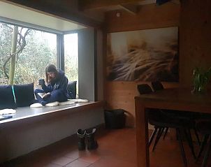 Knusse leeshoek in Vakantiehuisje in Boijl, met uitzicht op de Friese bossen.