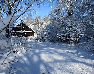 Sneeuw bedekt Vakantiehuisje in Boijl, een winterwonderland in de Friese bossen van Friesland.