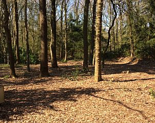 Natuurlijke omgeving van Huisje in Boijl, vakantiehuis in Friesland.