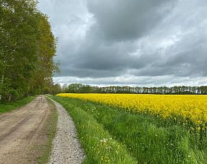 Landelijk pad nabij Huisje in Boijl, vakantiehuis in Friese bossen.