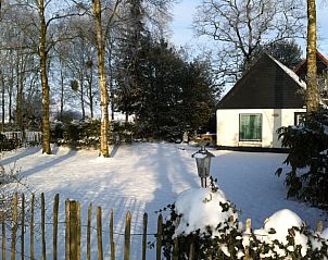 Winterse charme van Huisje in Boijl, vakantiehuis in Friese bossen.