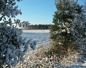 Sneeuwlandschap bij Huisje in Boijl, vakantiehuis in Friesland.