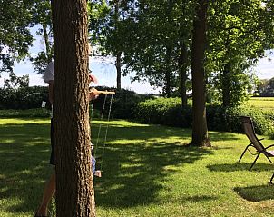 Zonnige tuin bij Huisje in Boijl, vakantiehuis Friese bossen.