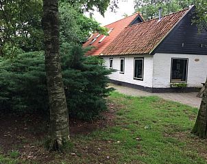 Charmant vakantiehuis Huisje in Boijl in Friese bossen, Friesland.