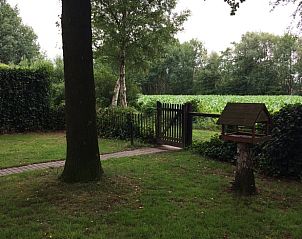 Tuinpad naar Huisje in Boijl, vakantiehuis in Friese bossen.