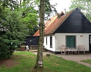 Huisje in Boijl, vakantiehuis met groene omgeving in Friese bossen.