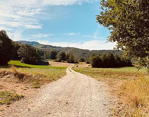 Pittoresk wandelpad nabij Huisje in Boijl, vakantiehuis Friesland.