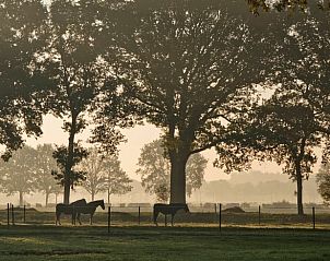 Prachtige zonsopgang bij Vakantiehuis in Boijl, Friesland met paarden in de wei.