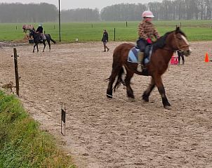 Paardrijles in de buurt van Vakantiehuis in Boijl, Friese bossen, Friesland.