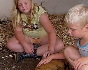 Kinderen aaien varkens bij Vakantiehuis in Boijl, Friesland, ideaal voor gezinnen.