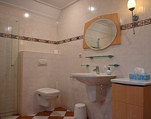 Stijlvolle badkamer met moderne voorzieningen in Vakantiehuis in Boijl, gelegen in de Friese bossen van Friesland.