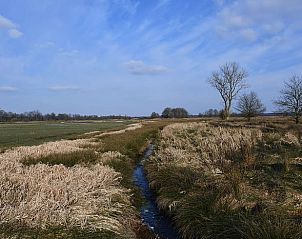 Uitgestrekt landschap rond Vakantiehuis in Boijl, gelegen in de Friese bossen van Friesland.