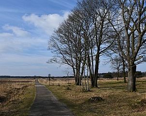 Wandelpad door de natuur nabij Vakantiehuis in Boijl, gelegen in de Friese bossen van Friesland.