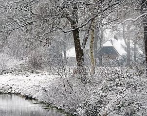 Sneeuwlandschap rond Vakantiehuis in Boijl, een winterwonderland in de Friese bossen van Friesland.