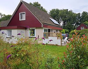 Charmant vakantiehuis in Boijl, Friesland omringd door natuur en kleurrijke bloemen.