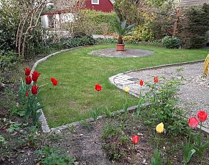 Tuin van Vakantiehuis in Boijl met kleurrijke tulpen en groene gazon in Friesland.