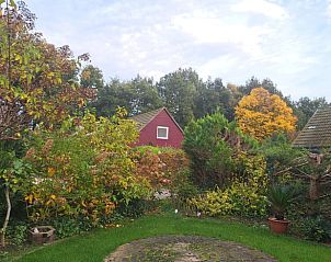 Herfstkleuren in de tuin van Vakantiehuis in Boijl, sfeervolle natuur in Friesland.