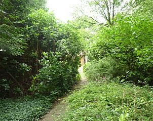 Unterkunft 231511 - Ferienhaus Friese bossen - Vakantiehuis in Boijl