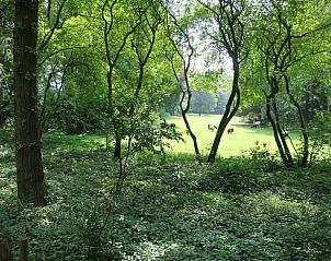 Unterkunft 231511 - Ferienhaus Friese bossen - Vakantiehuis in Boijl