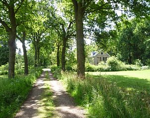 Unterkunft 231511 - Ferienhaus Friese bossen - Vakantiehuis in Boijl