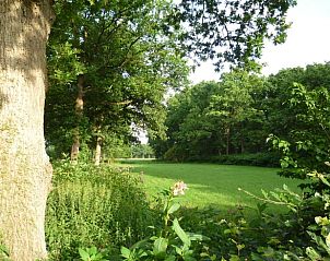 Unterkunft 231511 - Ferienhaus Friese bossen - Vakantiehuis in Boijl