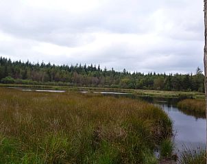 Unterkunft 231511 - Ferienhaus Friese bossen - Vakantiehuis in Boijl