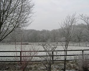 Unterkunft 231511 - Ferienhaus Friese bossen - Vakantiehuis in Boijl