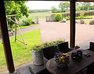 Veranda van Huisje in Boijl, vakantiehuis in Friese bossen, Friesland, met uitzicht op groene natuur.