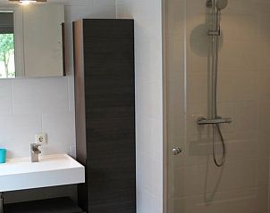Stijlvolle badkamer in Huisje in Boijl, vakantieaccommodatie in Friese bossen, Friesland, met douche en wastafel.