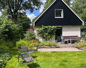 Vakantiehuis in Boijl, Friese bossen met zonnig terras en groene tuin.