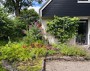 Bloeiende tuin bij vakantiehuis in Boijl, Friesland met kleurrijke bloemen.