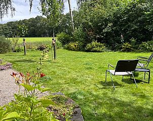 Uitgestrekte tuin van vakantiehuis in Boijl, Friese bossen met comfortabele stoelen.