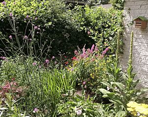 Groene oase bij vakantiehuis in Boijl, Friesland met bloeiende planten.