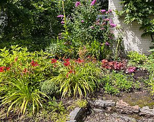 Klimop tegen de muur van vakantiehuis in Boijl, Friese bossen voor natuurlijke charme.