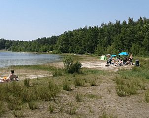 Uitgestrekt heidelandschap in de buurt van vakantiehuis in Boijl, Friese bossen.