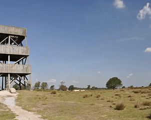 Verblijf 231515 - Vakantiewoning Friese bossen - Vakantiehuis in Boijl