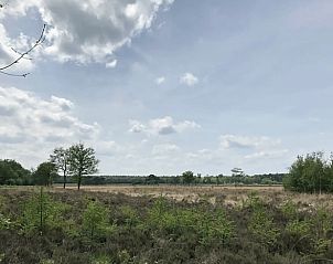 Unterkunft 231515 - Ferienhaus Friese bossen - Vakantiehuis in Boijl