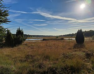 Prachtig uitzicht op natuurgebied nabij vakantiehuis FR426 in Boijl, Friesland.
