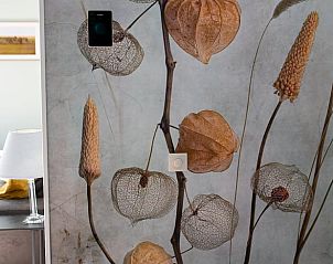 Artistieke muurdecoratie in Vakantiehuis in Boijl, unieke sfeer in Friesland.