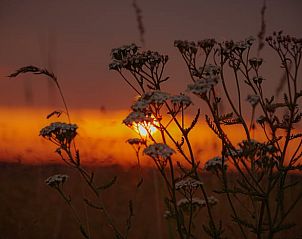 Adembenemende zonsondergang in de buurt van Vakantiehuis in Boijl, Friese bossen, Friesland.