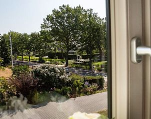 Uitzicht vanuit Vakantiehuis in Hoornsterzwaag, Friese bossen, op groene omgeving.