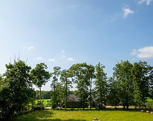 Prachtig uitzicht op natuur rondom Vakantiehuis in Hoornsterzwaag, Friesland.