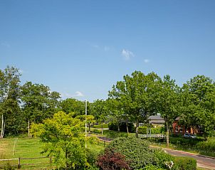 Uitzicht op landelijke weg vanuit Vakantiehuis in Hoornsterzwaag, Friese bossen.